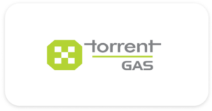 srm-mamagement-placement-partners (14)