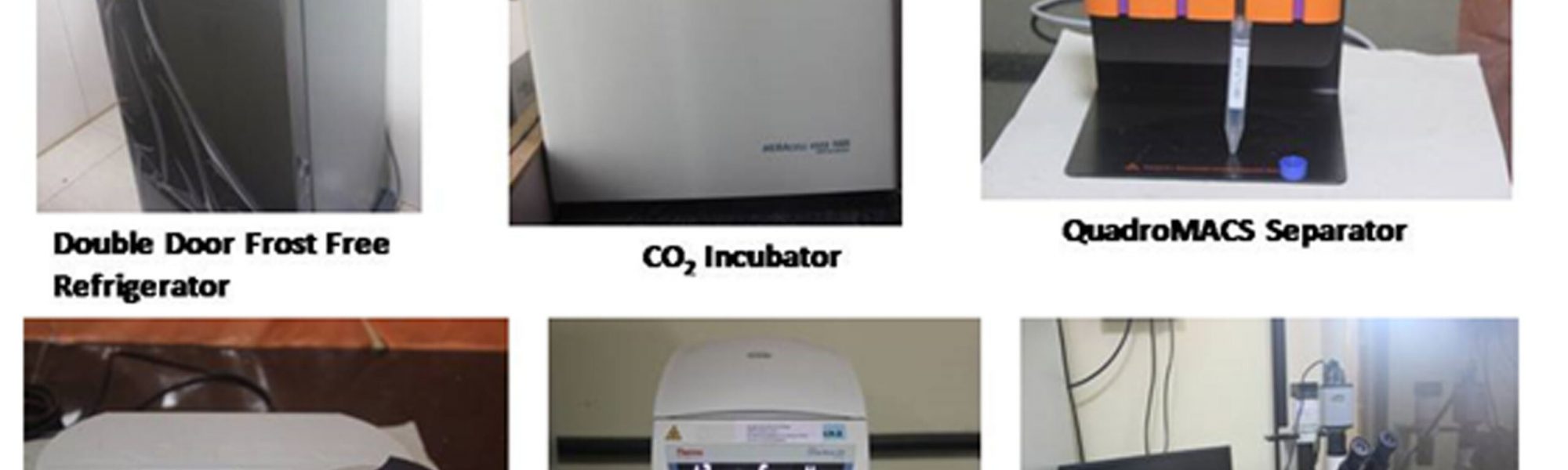 Cancer Immunology And Gene Editing Technology Lab