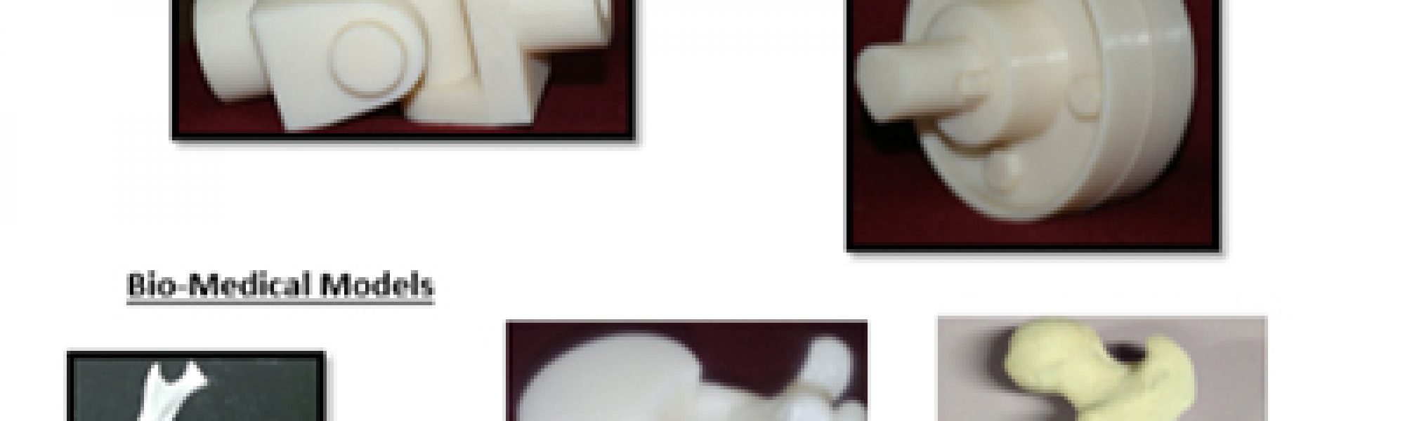RPT-LAB