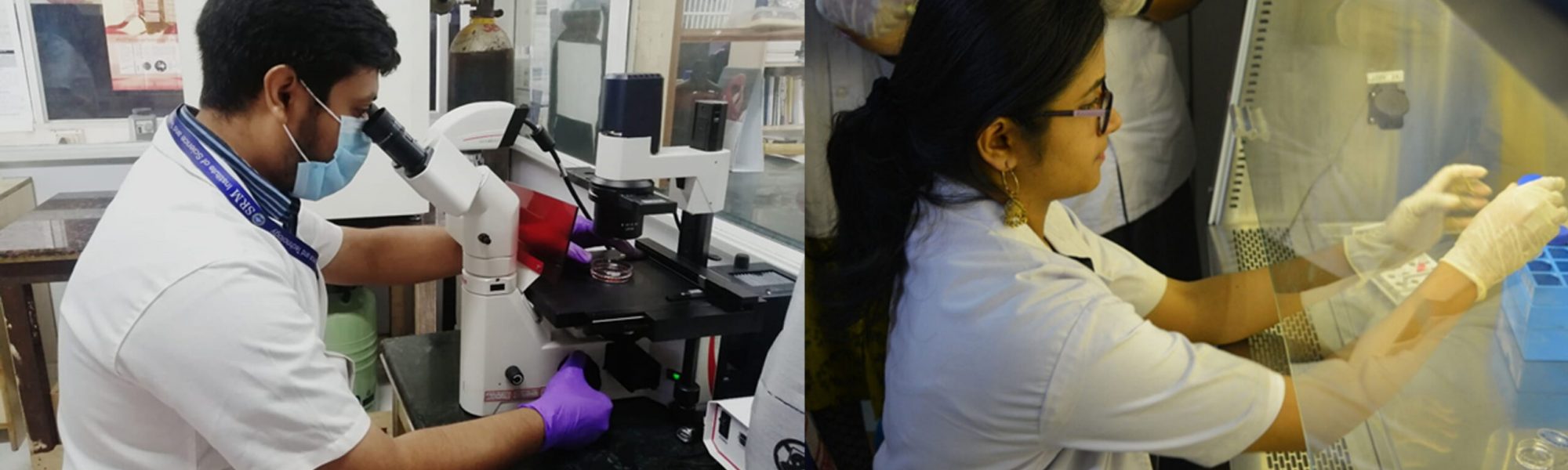 Stem Cell Biology Lab