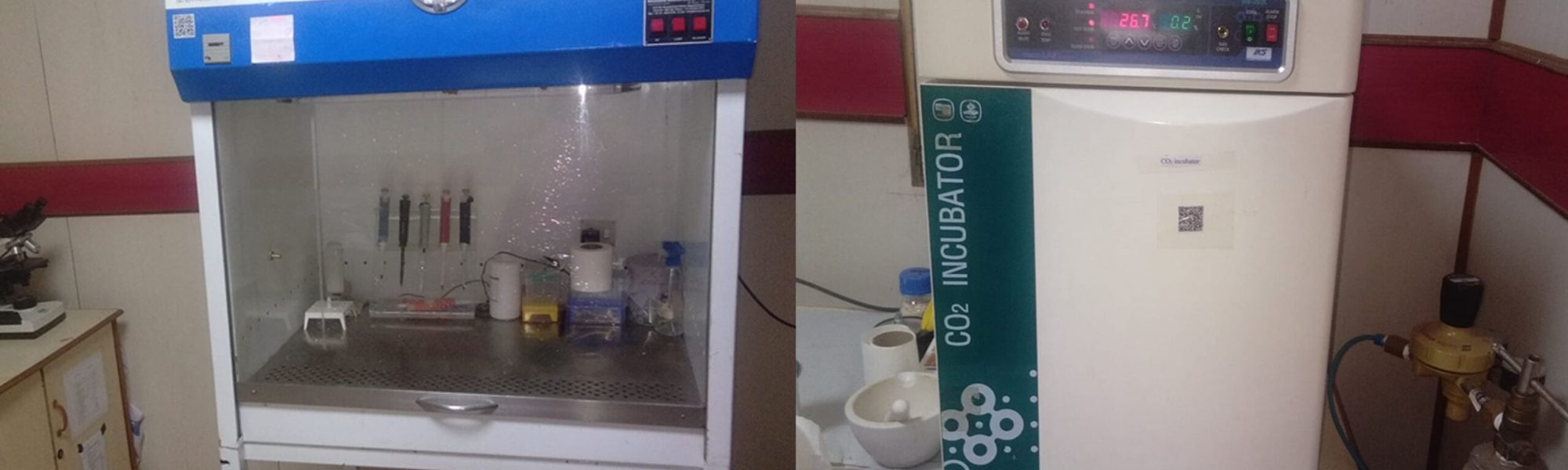 endocrine Disruption And Reproductive Toxicology (EDART) Laboratory